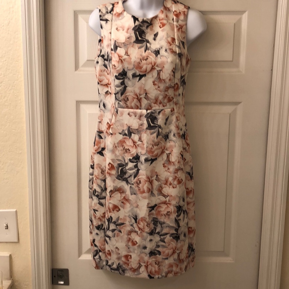 Calvin Klein Rose Print Sheath Dress